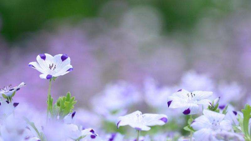 WhatsApp发送状态图标的含义解析